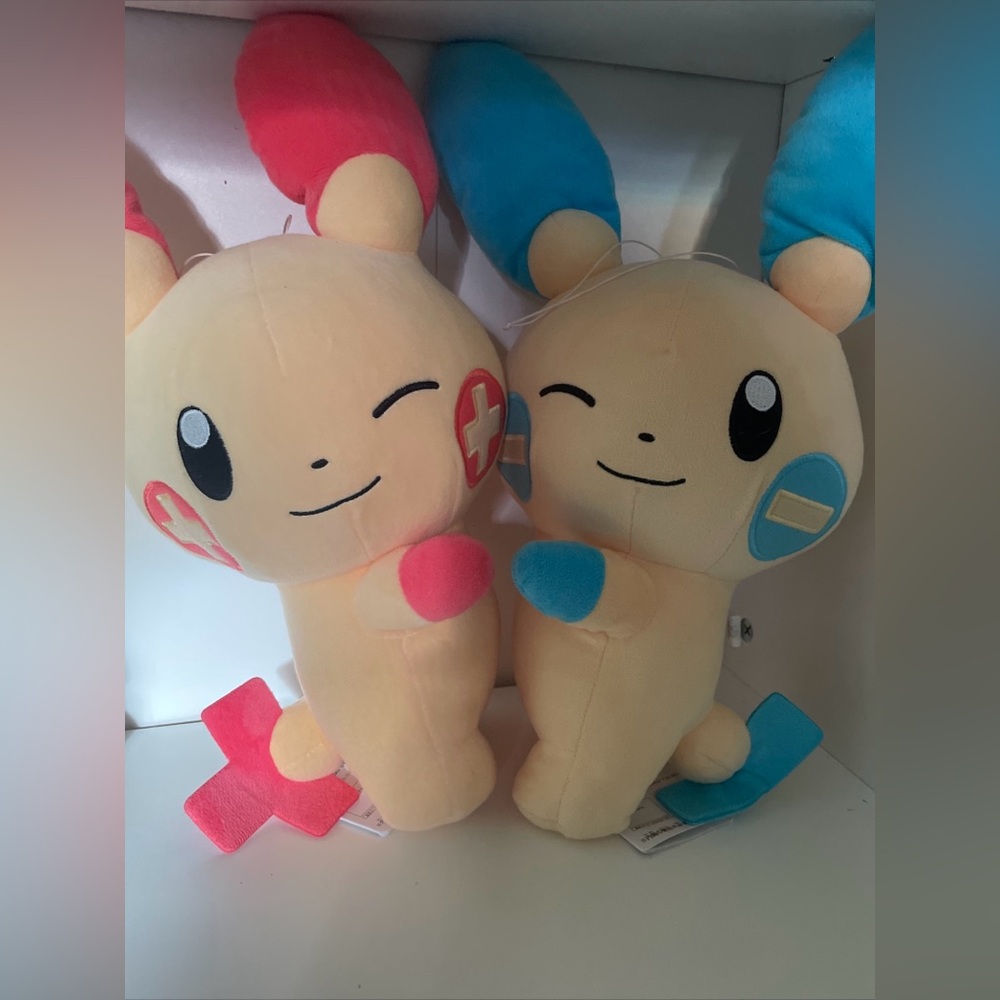 Pokémon duo plushies cute imported from Japan